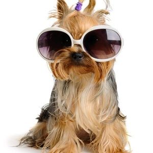 Meet your Posher, Deeanna